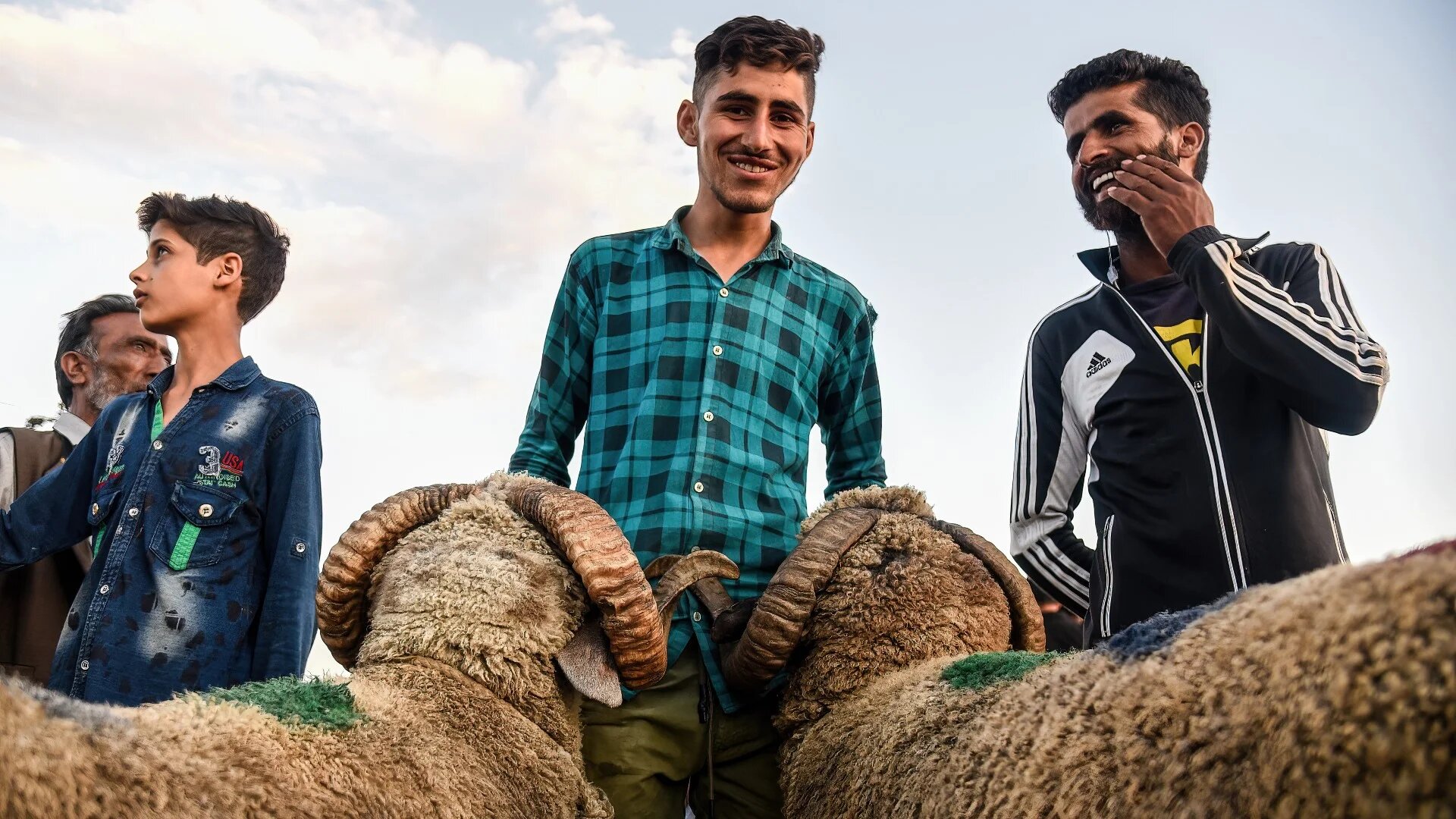A sheep seller waits for customers at a makeshift market ahead of Eid al-Adha in India (Reuters)