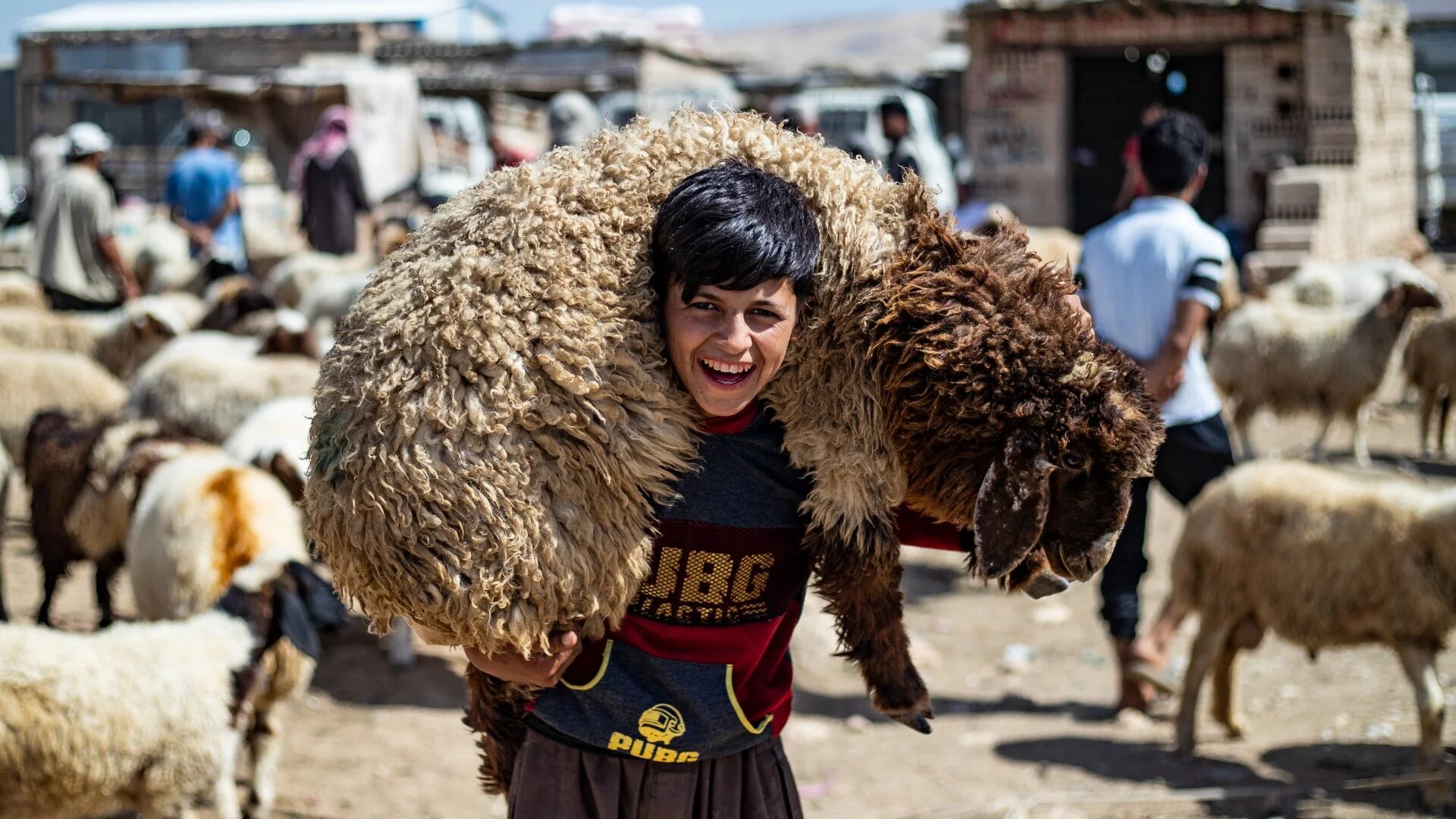 A boy carries a sheep at a livestock market ahead of the Muslim festival of Eid al-Adha on the outskirts of Qamishli, in Syria's pre-dominantly Kurdish northeastern Hasakeh province, on 15 June 2024 (Delil Souleiman/AFP)