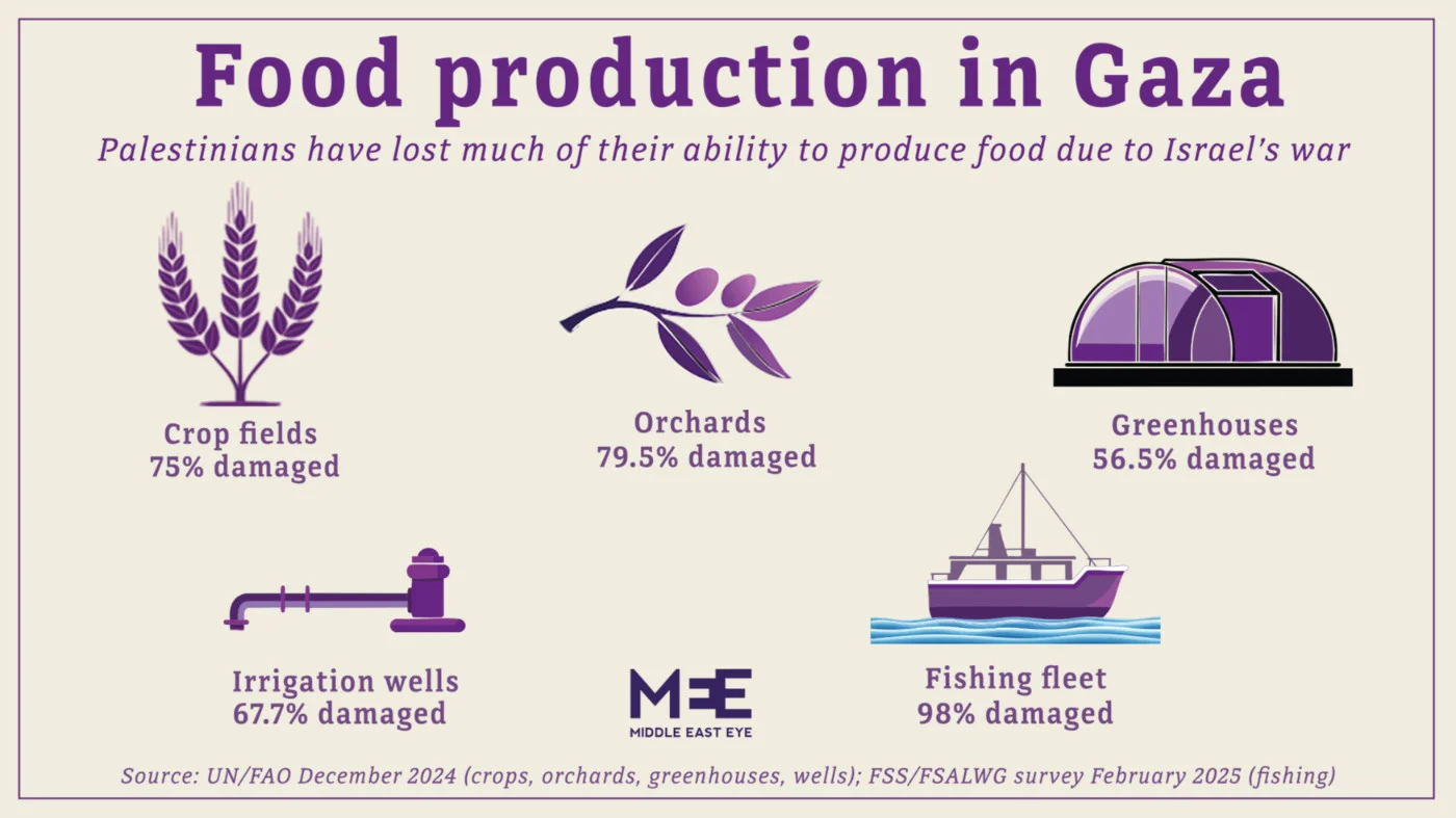 Food production losses in Gaza